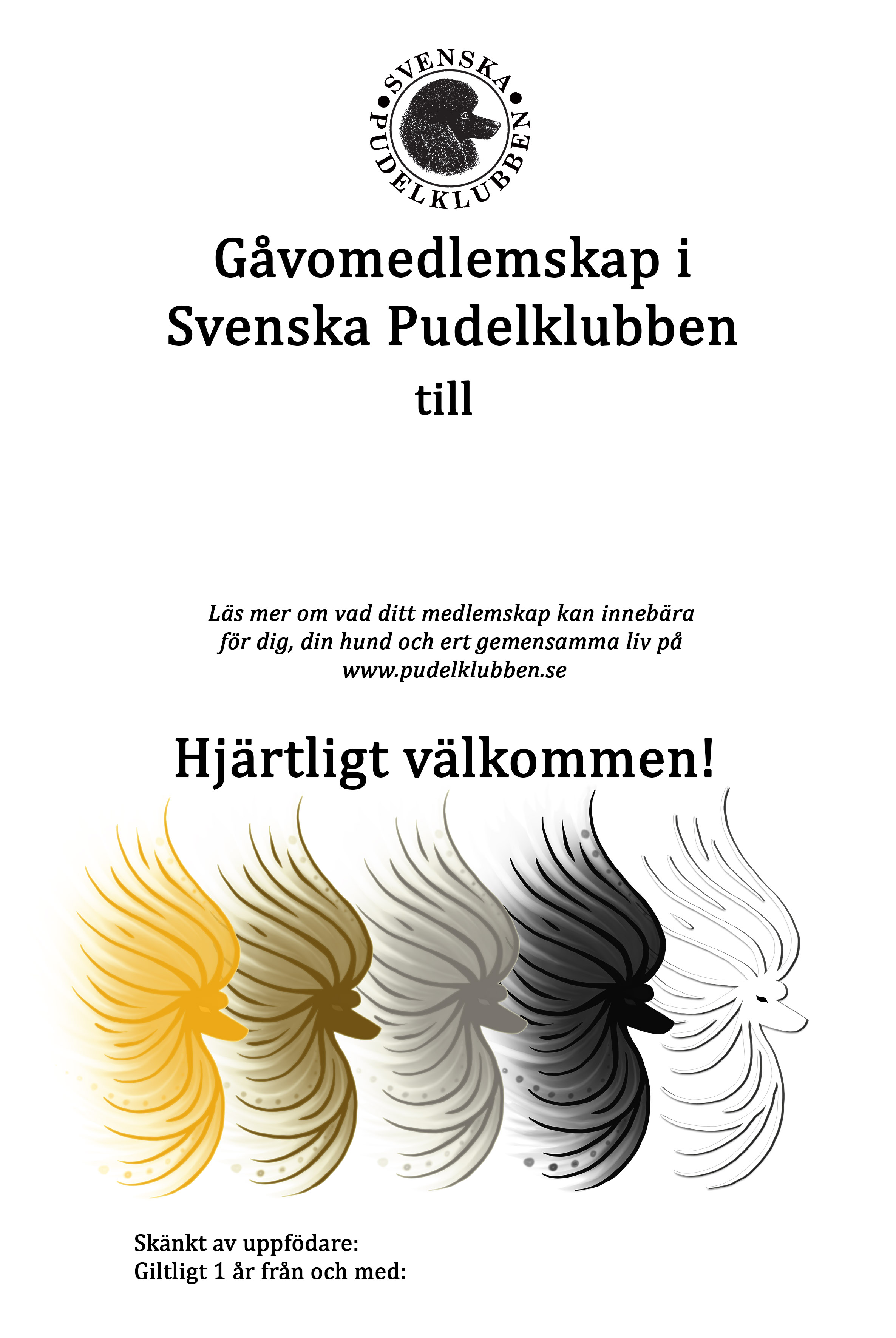 Uppfödare kan betala rabatterade medlemskap för sina valpköpare. Kostnaden är då 175 kr för huvudmedlem och 50 kr för familjemedlem. OBS!! När du fyllt i nedanstående formulär (hanteras av SKK) får du upp ett bankgironummer samt en referens du ska ange vid betalning. Gåvomedlemskap gäller endast för valpköpare som inte redan är medlemmar i Pudelklubben. Vid utländska Gåvomedlemskap är avgiften 275 kr. Den uppfödare som ger bort flest gåvomedlemskap under ett kalenderår for kostnadsfritt en helsidesannons i valfritt nummer av Pudel Nytt